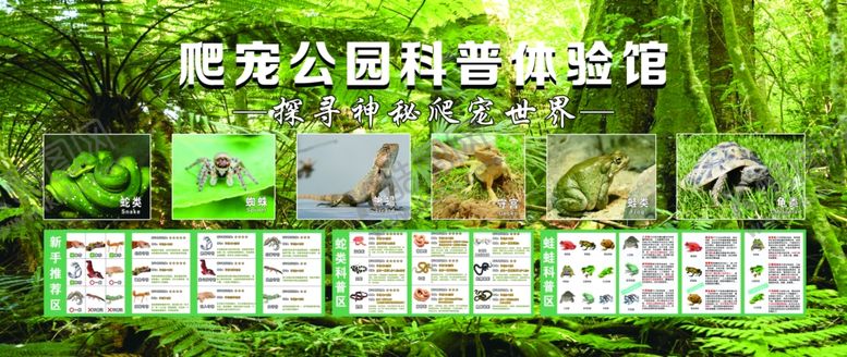 编号：93357804020324431885【酷图网】源文件下载-爬宠体验馆