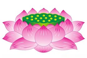 莲花上拾叁