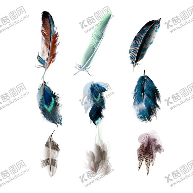 编号：70034010191815027449【酷图网】源文件下载-羽毛