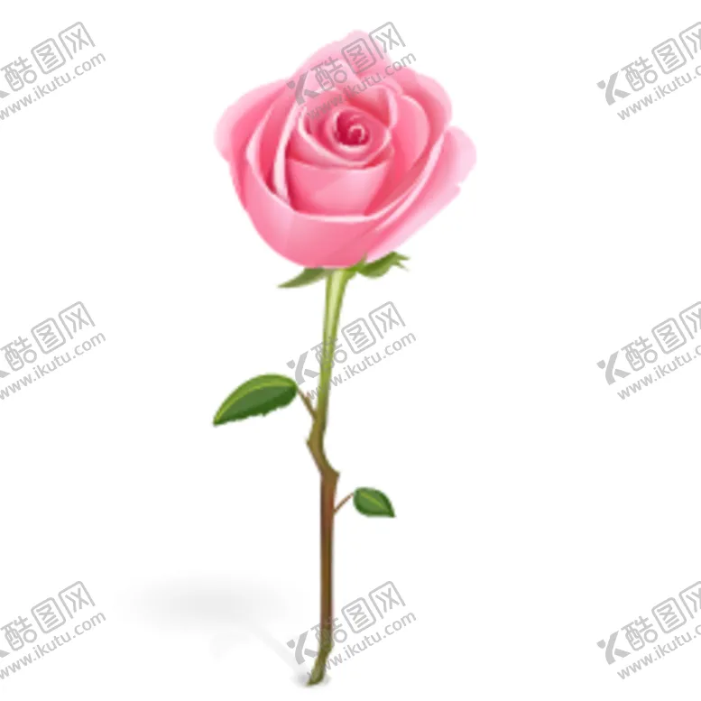 编号：79646906282006145472【酷图网】源文件下载-鲜花素材