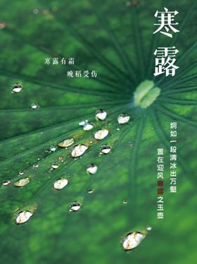 五一绿色节气