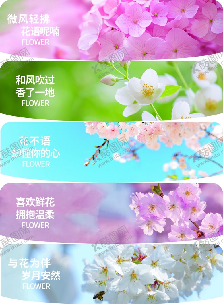 编号：61758604061916191295【酷图网】源文件下载-花语