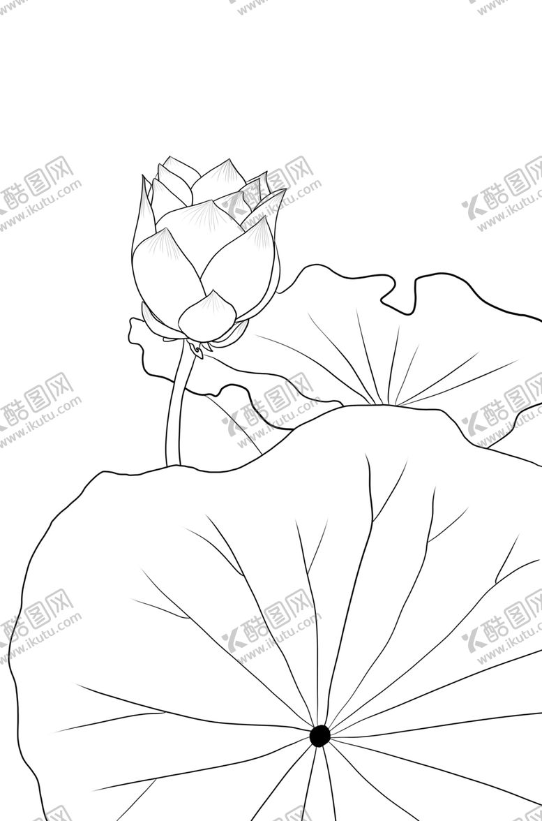 编号：39666206161703528222【酷图网】源文件下载-荷花