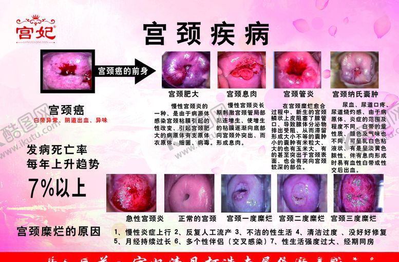 编号：91558910141405144633【酷图网】源文件下载-宫妃美容养生