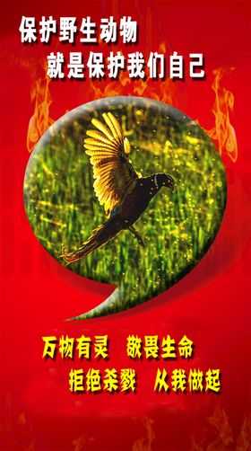野生动物剪影图片