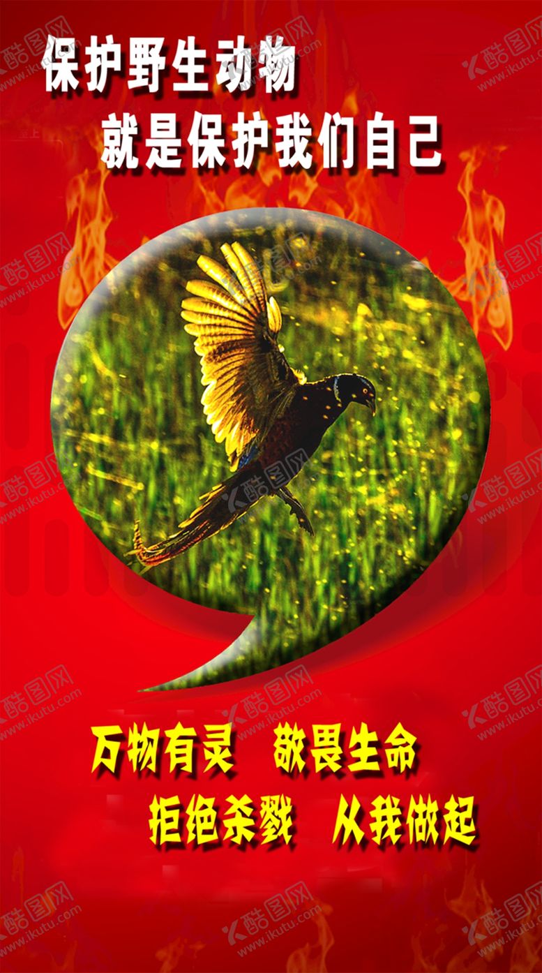 编号：97497307141553461905【酷图网】源文件下载-野生动物宣传图片