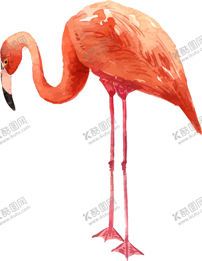 编号：66941304300653396213【酷图网】源文件下载-手绘动物