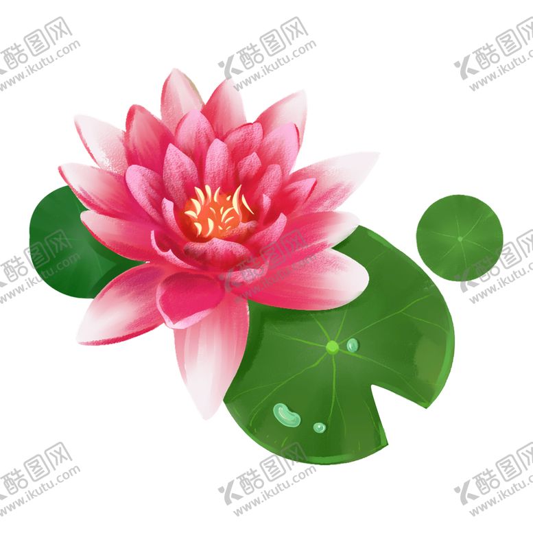 编号：28415710120501299632【酷图网】源文件下载-荷花 荷叶