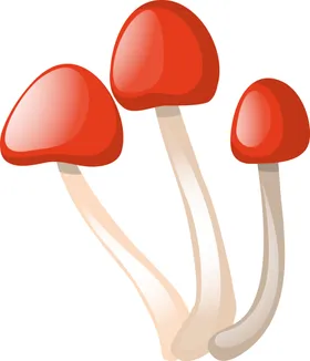 蘑菇卡通手绘插图菌