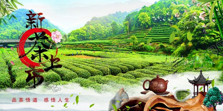 编号：67332910070213489712【酷图网】源文件下载-新茶上市