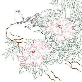 高清透明工笔画线稿之牡丹争艳