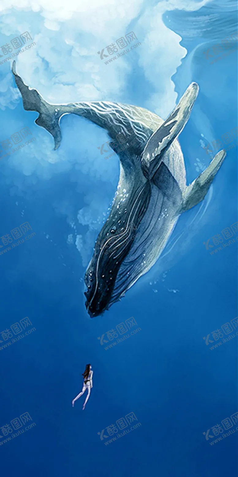 编号：05871609160307284762【酷图网】源文件下载-蓝鲸和人