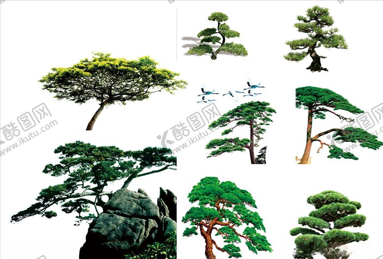 编号：42086810261611126610【酷图网】源文件下载-松树