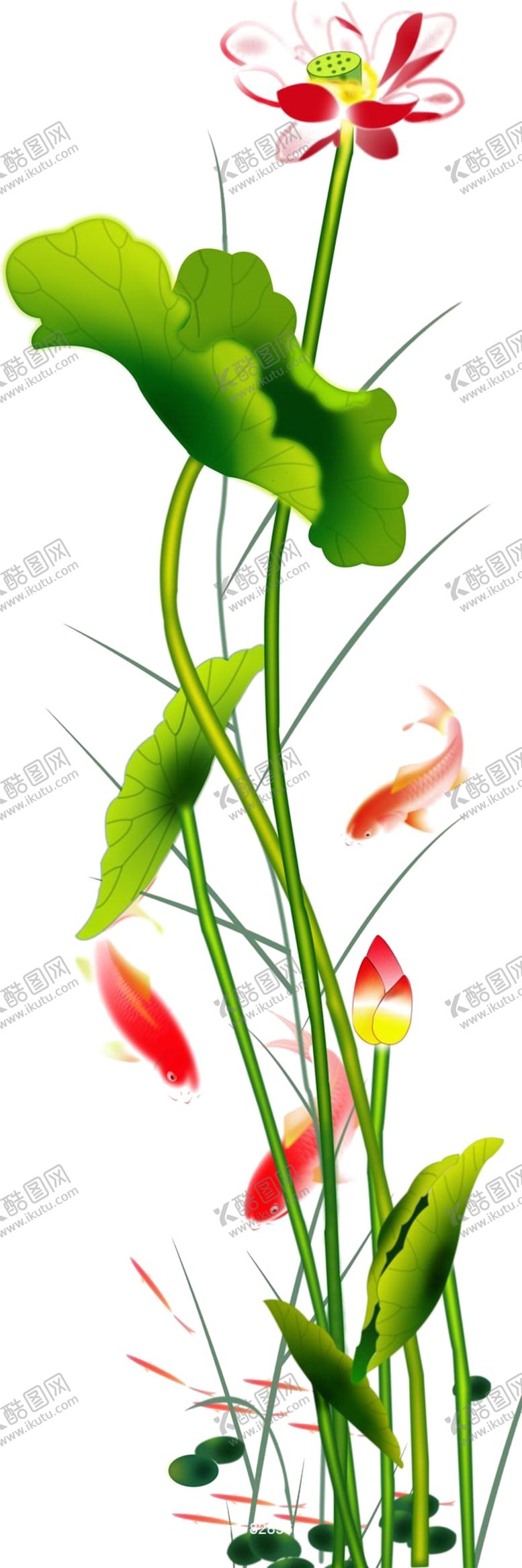 编号：52240909221009083730【酷图网】源文件下载-中国风荷叶荷花绘画