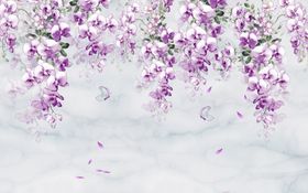 家和富贵蒲公英图片