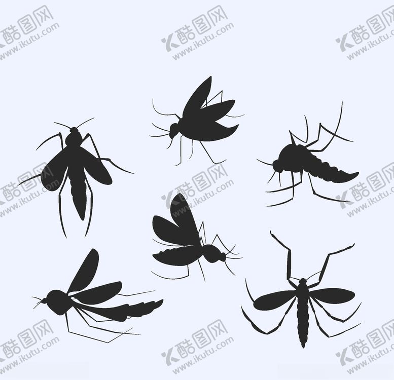 编号：16047607031420506687【酷图网】源文件下载-蚊子剪影
