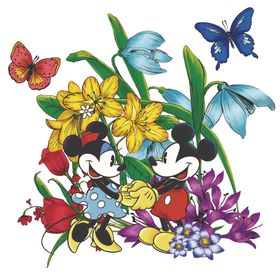 米奇花