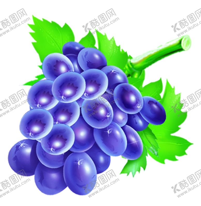 编号：89382005131011115451【酷图网】源文件下载-葡萄