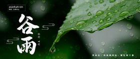 谷雨