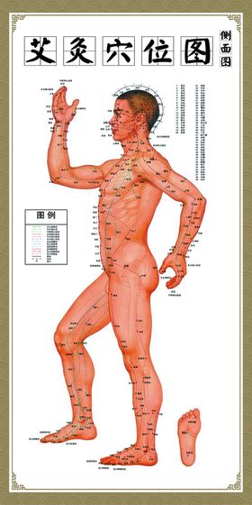 编号：35684709230928114217【酷图网】源文件下载-足部穴位图