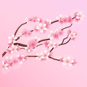 粉色桃花