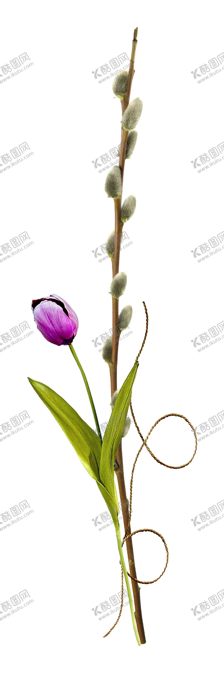 编号：84660306240619282244【酷图网】源文件下载-花边