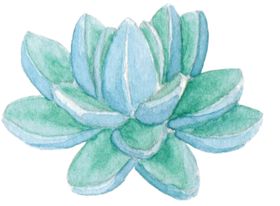 彩绘水彩花
