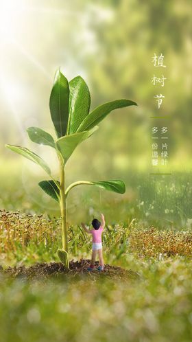 植树节