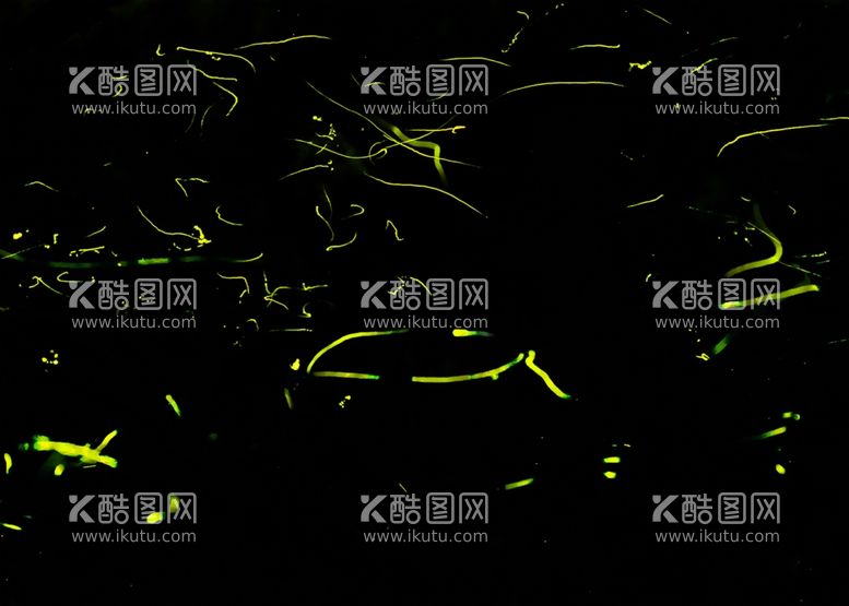 编号：91617612022006136863【酷图网】源文件下载-荧光背景