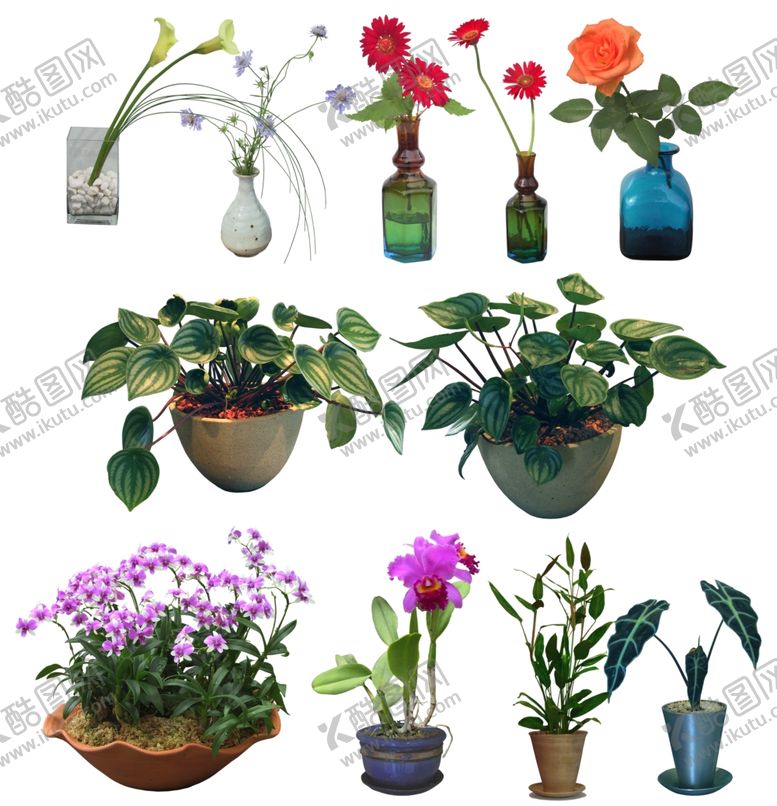 编号：58883205010334327340【酷图网】源文件下载-鲜花盆景盆栽绿植花瓶插花