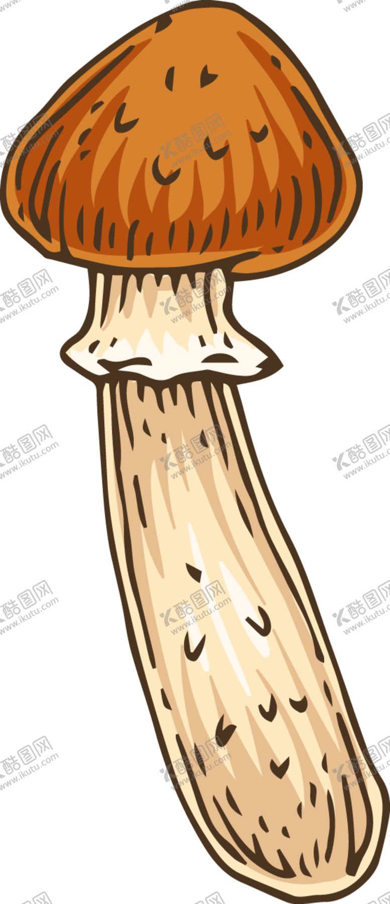 编号：67713901270637009308【酷图网】源文件下载-菌类插画图片 