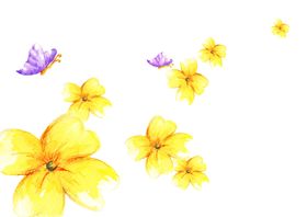 手绘桂花png免抠素材八月风景插画食品