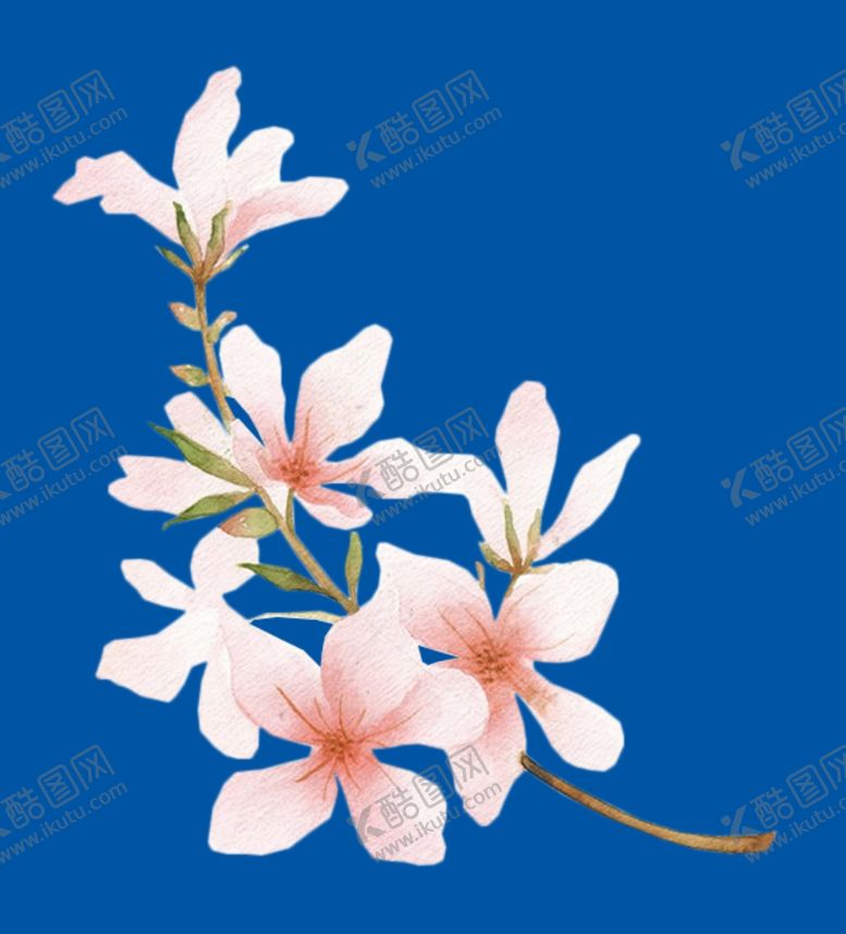 编号：51570910010328436226【酷图网】源文件下载-桃花