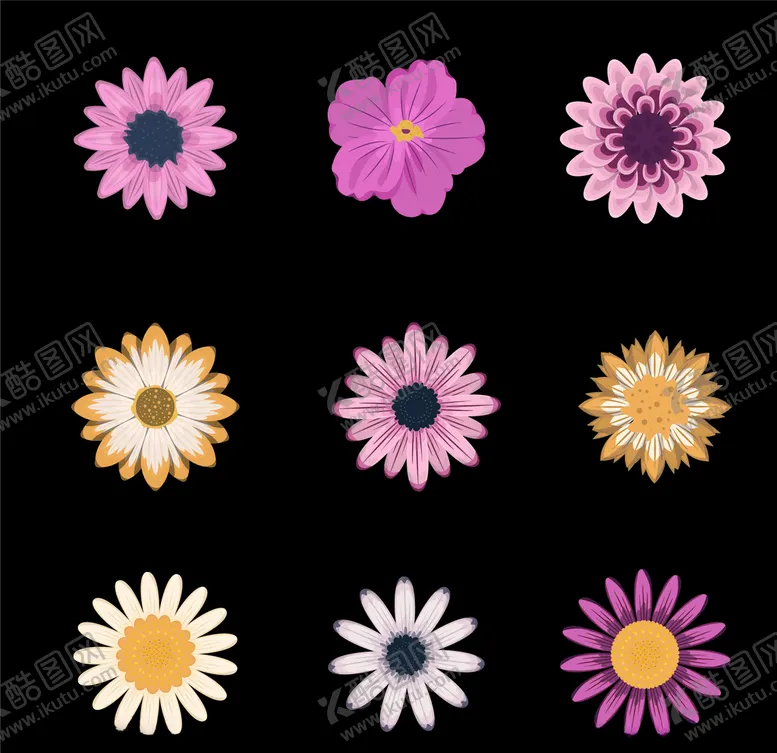 编号：14489506262334139522【酷图网】源文件下载-野菊花小雏菊Daisy鲜花花朵
