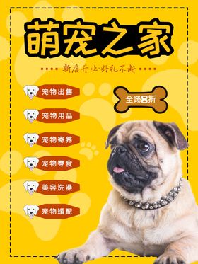 宠物