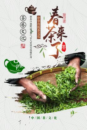春茶节