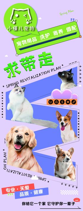 宠物海报