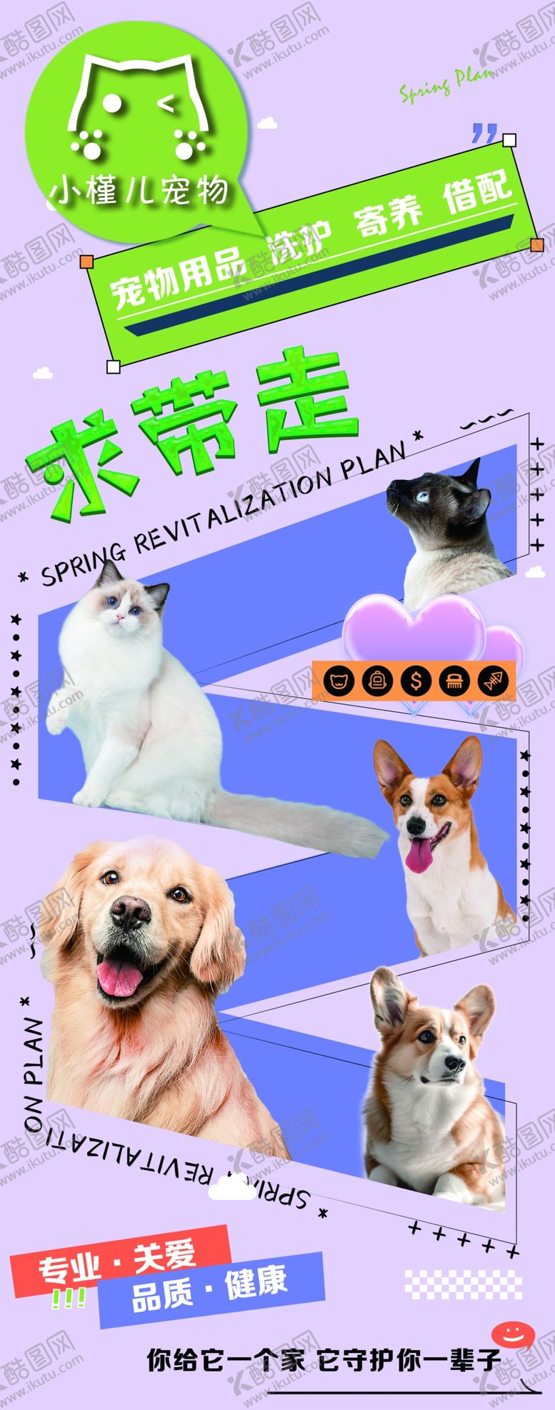 编号：35506111021412526330【酷图网】源文件下载-宠物海报