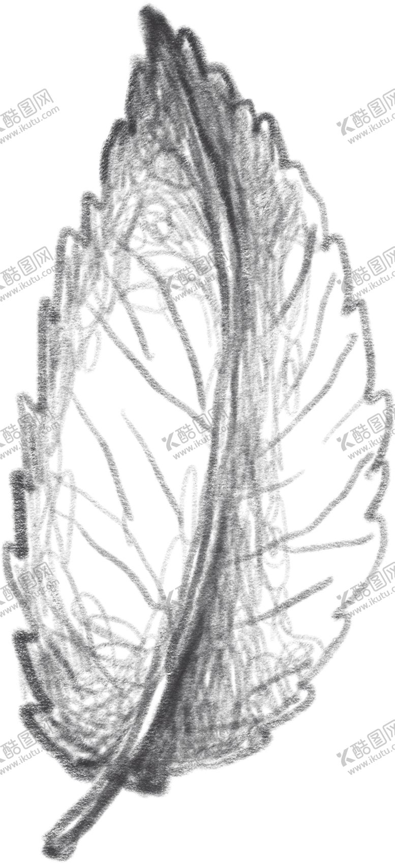 编号：57657109210651182601【酷图网】源文件下载-玫瑰花素叶片描绘画