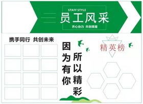 公司员工风采照片荣誉墙展示墙