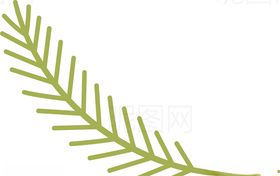 松枝