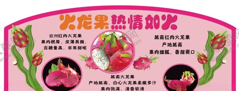 编号：51683410040110152485【酷图网】源文件下载-火龙果吊旗