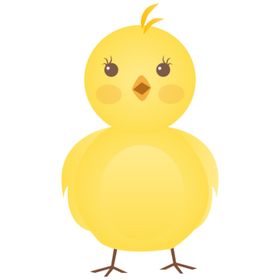 小鸡