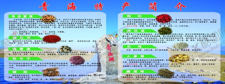 编号：60282911010925235979【酷图网】源文件下载-青藏特产