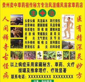贵州中草药店海报