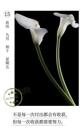 蜜果茶语