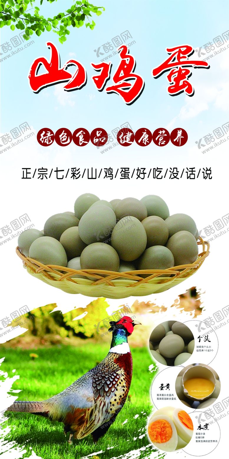 编号：96748302110903429561【酷图网】源文件下载-山鸡蛋