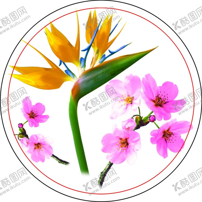 编号：63161809091146487053【酷图网】源文件下载-天堂鸟