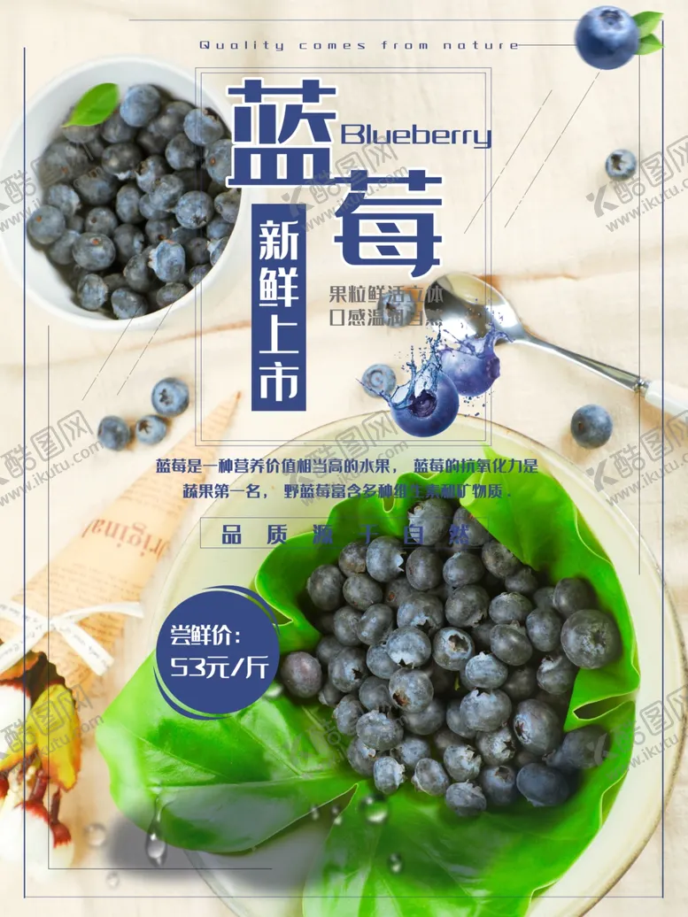编号：73042007020307517429【酷图网】源文件下载-水果海报