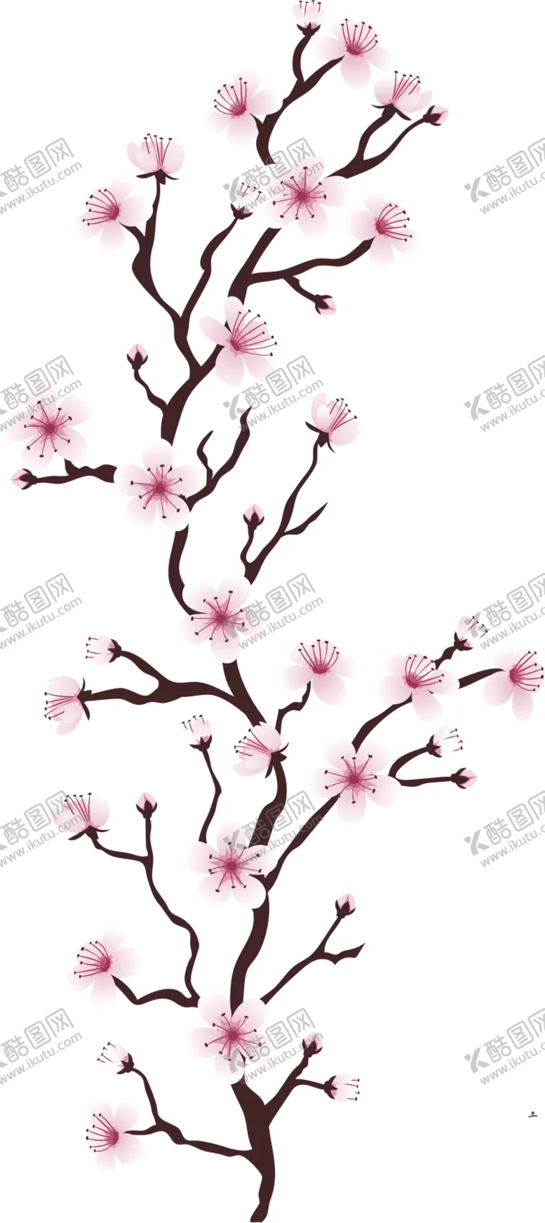编号：34266512130746079024【酷图网】源文件下载-  手绘粉色樱花免扣素材图片 